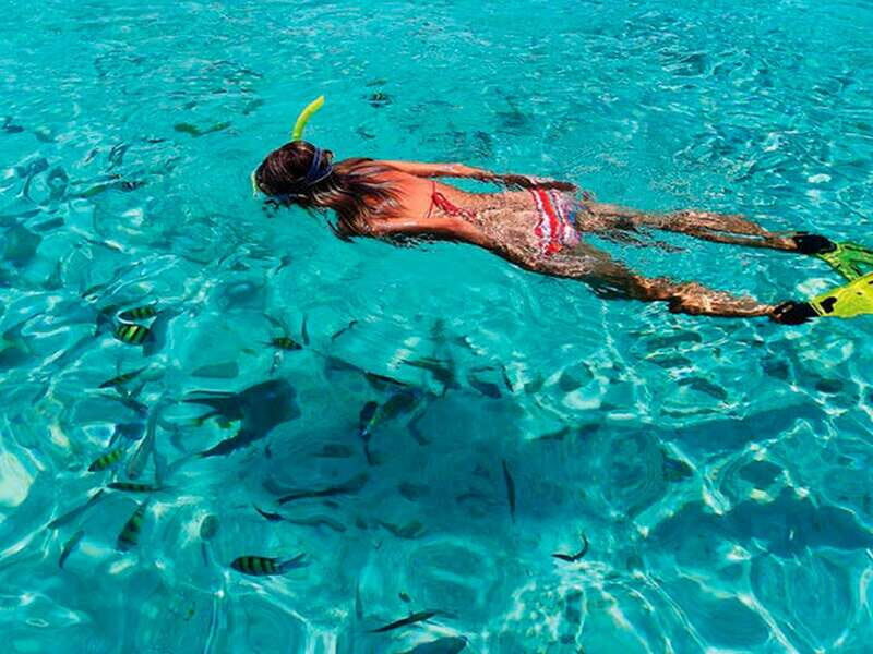 From Loreto: Snorkeling Catamaran Cruise - Sea of Cortez catamaran cruise: what the $105 value really covers