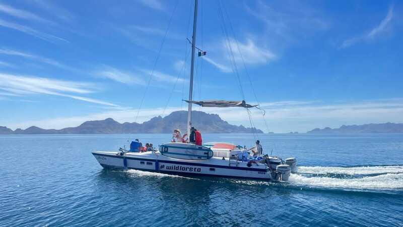 From Loreto: Snorkeling Catamaran Cruise - Who this cruise is best for (and who should skip it)