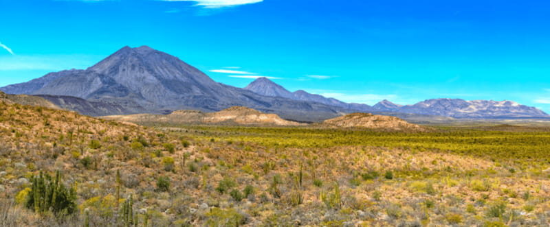 From Los Cabos: City Tour La Paz, Balandra and Todos Santos - Key things you’ll notice fast