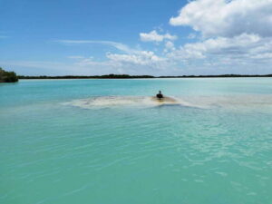 From Merida: Isla Columpios & Progreso - Guided time in Chuburná and Playón Chuburná