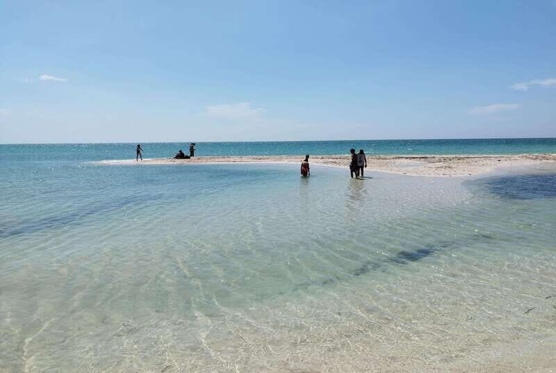 From Merida: Isla Columpios & Progreso - Price and logistics: where the value really comes from