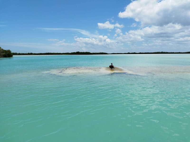 From Merida: Isla Columpios & Progreso - Guided time in Chuburná and Playón Chuburná