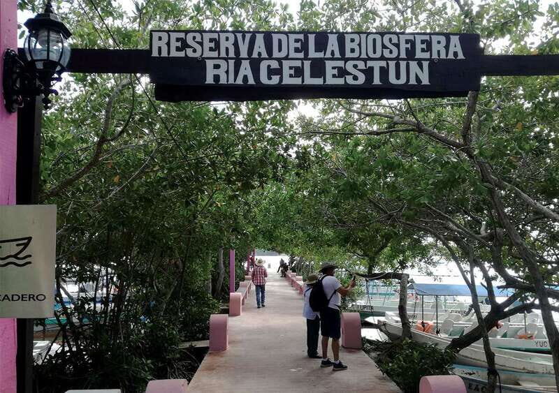 From Mérida: Ria Celestun Biosphere Reserve Tour - Key things that make this tour click