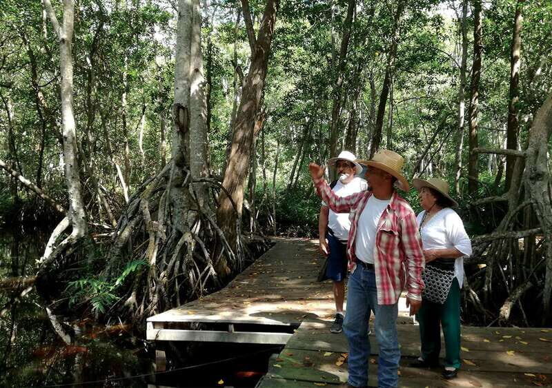 From Mérida: Ria Celestun Biosphere Reserve Tour - Who should book (and who should skip)