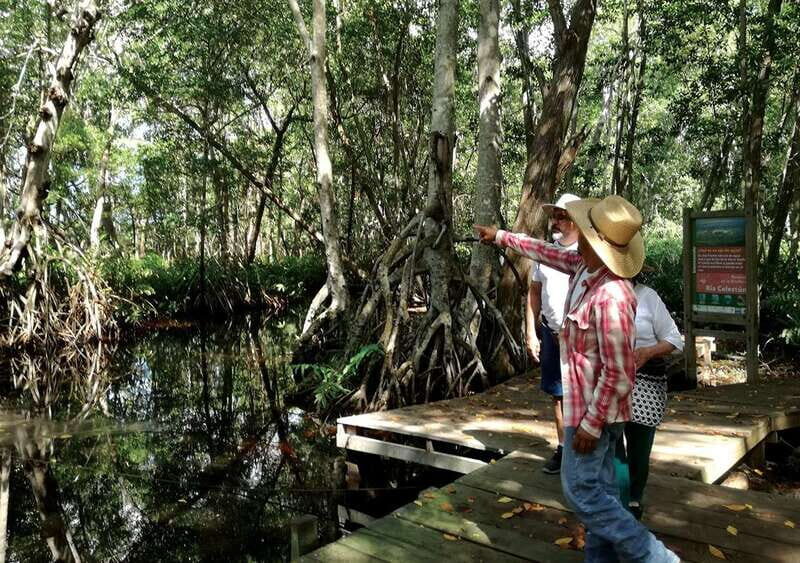 From Mérida: Ria Celestun Biosphere Reserve Tour - Reserve entry and birdwatching before the boat ride