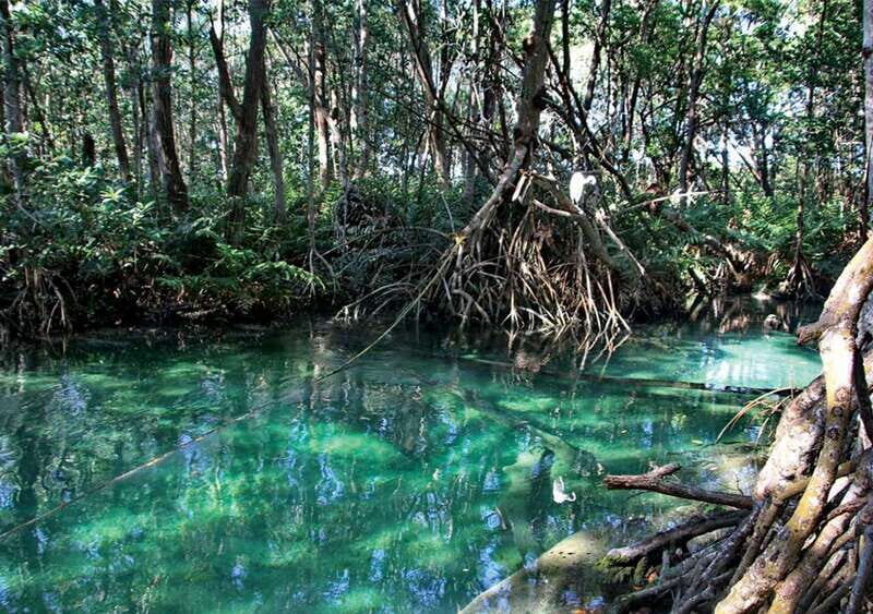 From Mérida: Ria Celestun Biosphere Reserve Tour - Price and value: is $203 a fair deal?