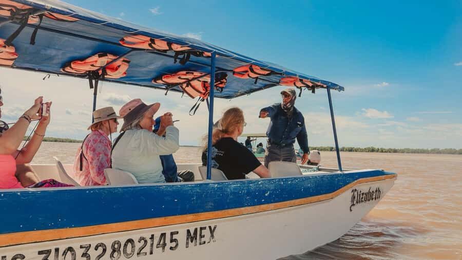 From Merida to Celestún: Biosphere, Flamingos & Beach Escape - Meeting Point and Timing: What Your Day Looks Like