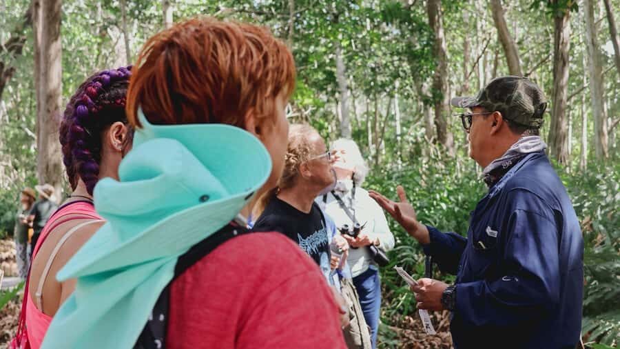 From Merida to Celestún: Biosphere, Flamingos & Beach Escape - Celestún Biosphere Reserve: Flamingos First, Then the Ecosystem Story