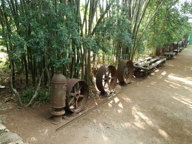 From Merida: Uxmal, Hacienda Yaxcopoil and Cenote with Lunch - Key takeaways for your day in Yucatán