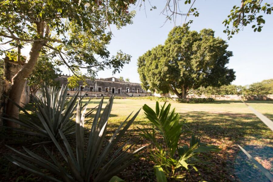 From Merida: Uxmal, Hacienda Yaxcopoil and Cenote with Lunch - Price and logistics: is $143 worth your day?