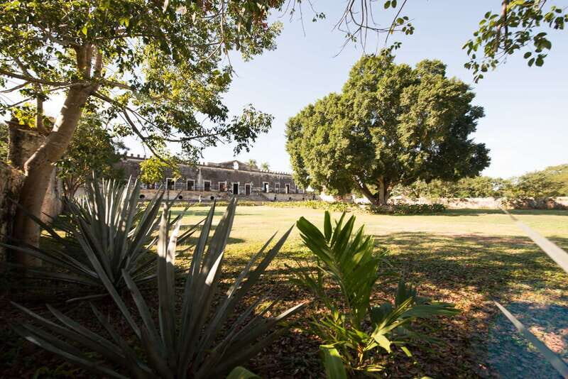 From Merida: Uxmal, Hacienda Yaxcopoil and Cenote with Lunch - Who should book this tour (and who should skip it)