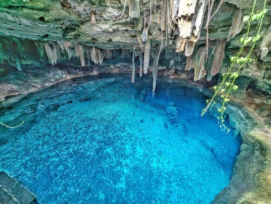 From Mérida:Explore 4 Rural Cenotes with a Traditional lunch - San Antonio Mulix and the Other Community Cenotes