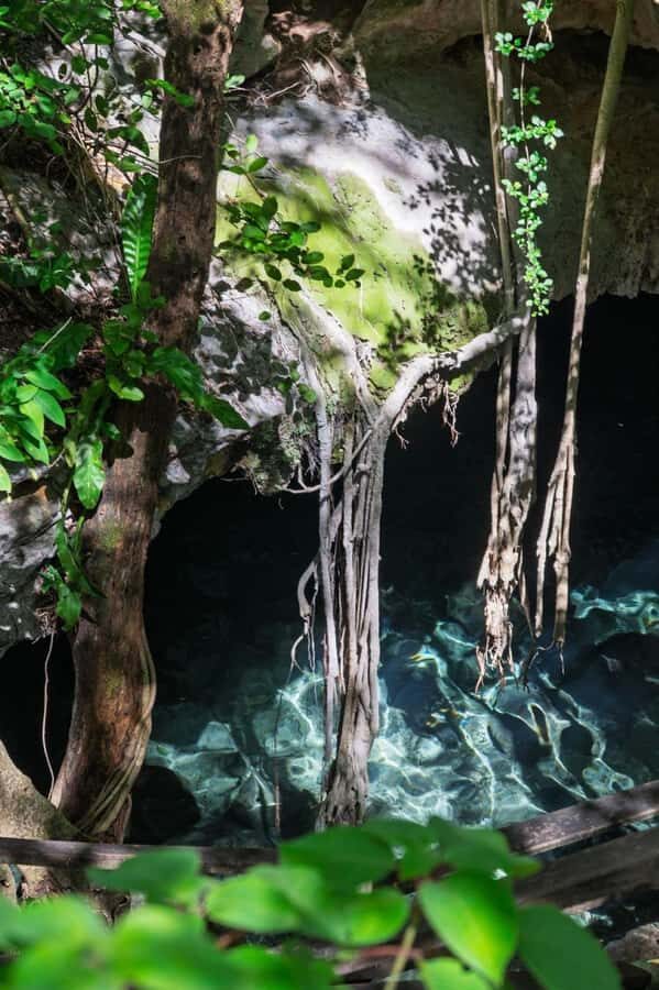 From Mérida:Explore 4 Rural Cenotes with a Traditional lunch - What to Pack and How to Stay Comfortable in the Water