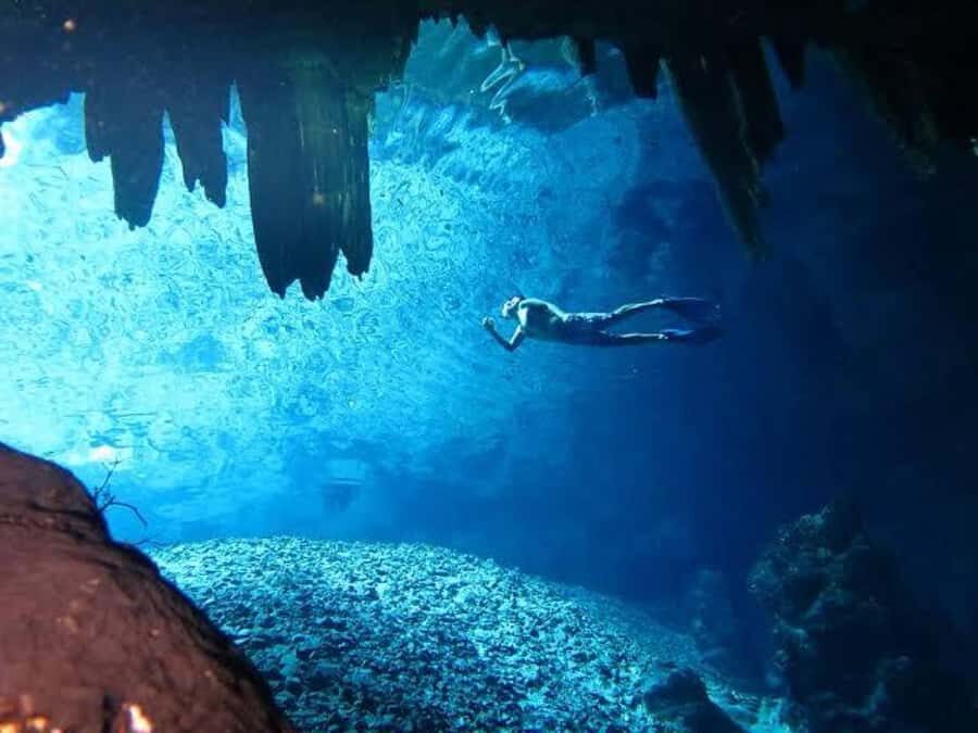 From Mérida:Explore 4 Rural Cenotes with a Traditional lunch - Should You Book This Four-Cenote Day Trip?