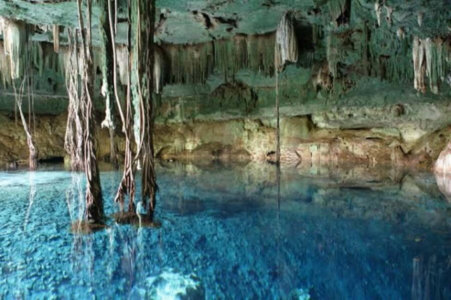 From Mérida:Uxmal and amazing cenotes guided tour with lunch - Open cenote time: a beautiful reset after swimming caves