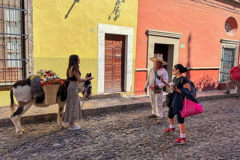 From Mexico City: San Miguel de Allende Day Trip - Breakfast Break on the Way Out: Small Pause, Big Help