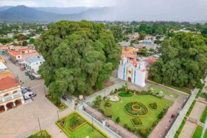From Oaxaca: City, Mitla, and Mezcal Factory Tour - Teotitlán del Valle weaving: where design is the point