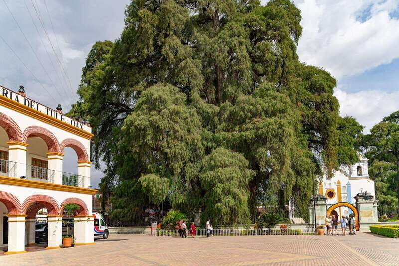 From Oaxaca: City, Mitla, and Mezcal Factory Tour - Mitla’s City of the Dead: patterns that deserve a guide