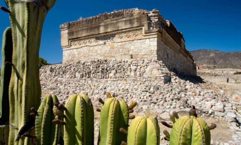 From Oaxaca: City, Mitla, and Mezcal Factory Tour - FAQ