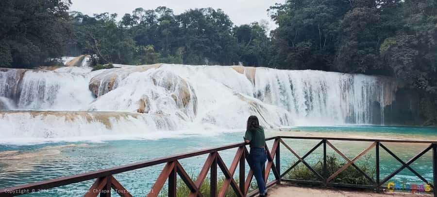 From Palenque: Misol-Ha & Agua Azul Waterfalls Day Tour - Misol-Ha Waterfall: the 20-meter cascade, mist, and swim expectations