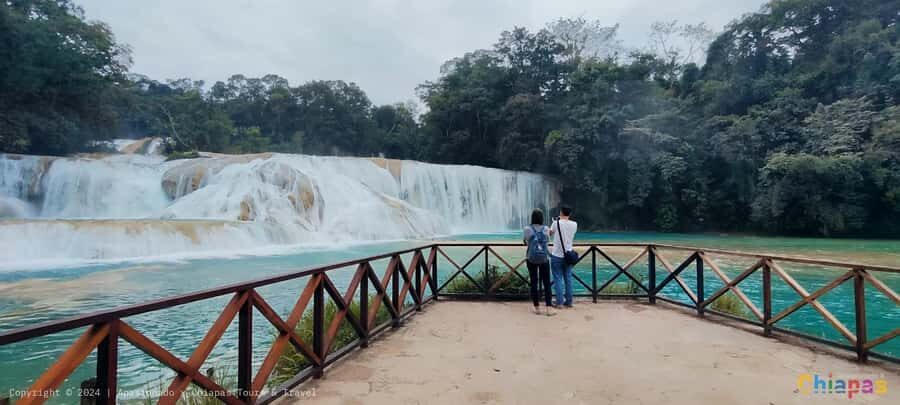 From Palenque: Misol-Ha & Agua Azul Waterfalls Day Tour - Transportation, comfort, and the Spanish guide you’ll actually use