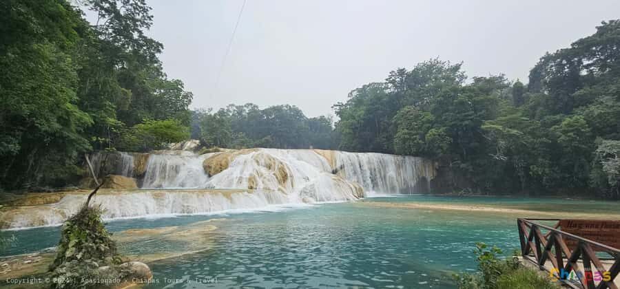 From Palenque: Misol-Ha & Agua Azul Waterfalls Day Tour - What to bring (and what to skip) for waterfall time