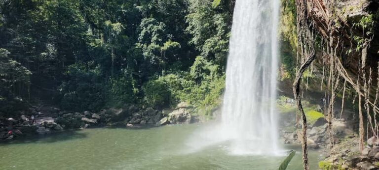From Palenque: Misol-Ha and Agua Azul Waterfalls - Misol-Ha Waterfall: 20 meters of mist, viewpoints, and swim limits