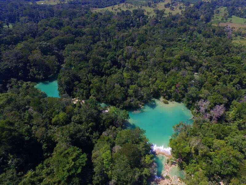 From Palenque: Palenque Ruins and waterfalls Roberto Barrios - Price and value: what $93 really buys you