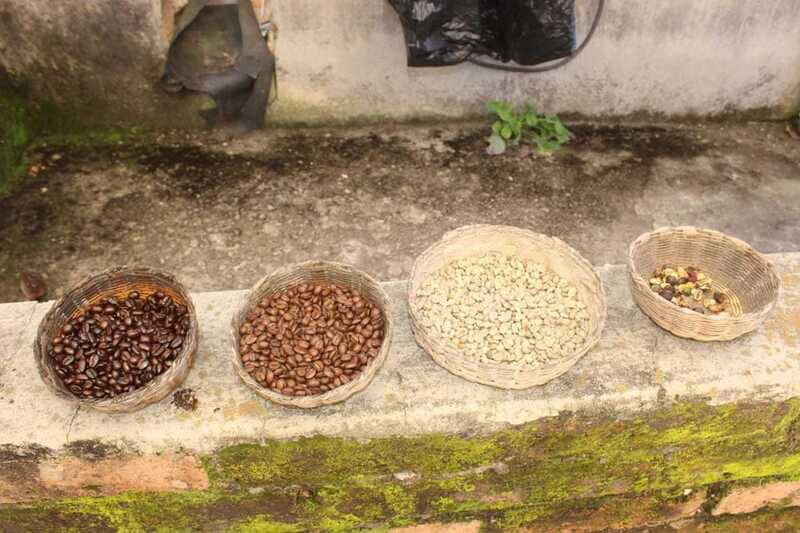 From Puerto Vallarta: San Sebastian del Oeste with Lunch - Organic coffee plantation and bakery photo stops