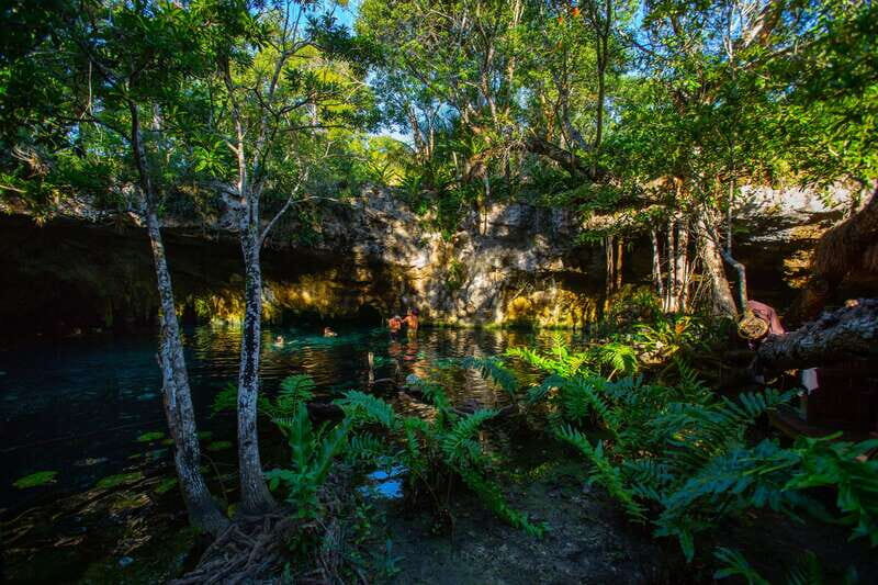 From Riviera Maya: 3 Cenotes Adventure Tour with Lunch - Price and value: is $169 fair for three cenotes?