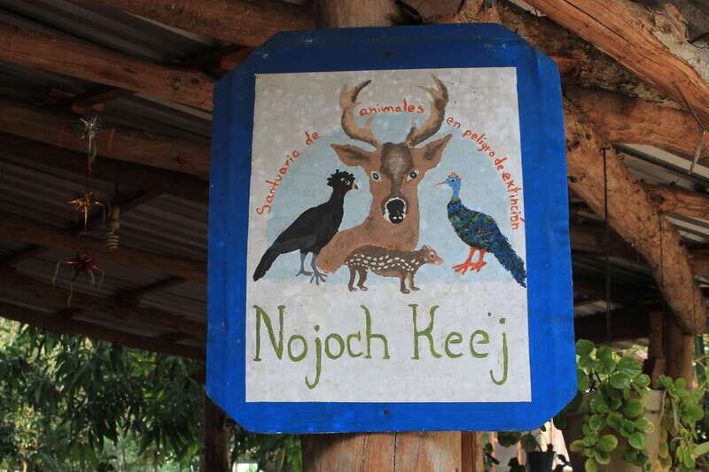 From Riviera Maya: Coba, Punta Laguna & Cenote Guided Trip - Nuevo Durango lunch: Mayan family food plus a ceremony moment