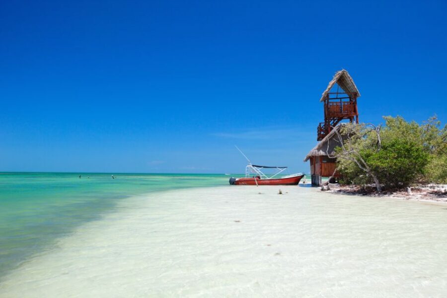 From Riviera Maya: Holbox Full-Day Tour with Lunch - Key things to know before you go