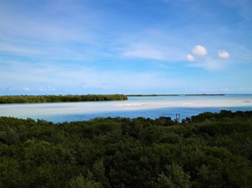 From Riviera Maya: Holbox Full-Day Tour with Lunch - Who should book this Holbox day trip, and who should skip it