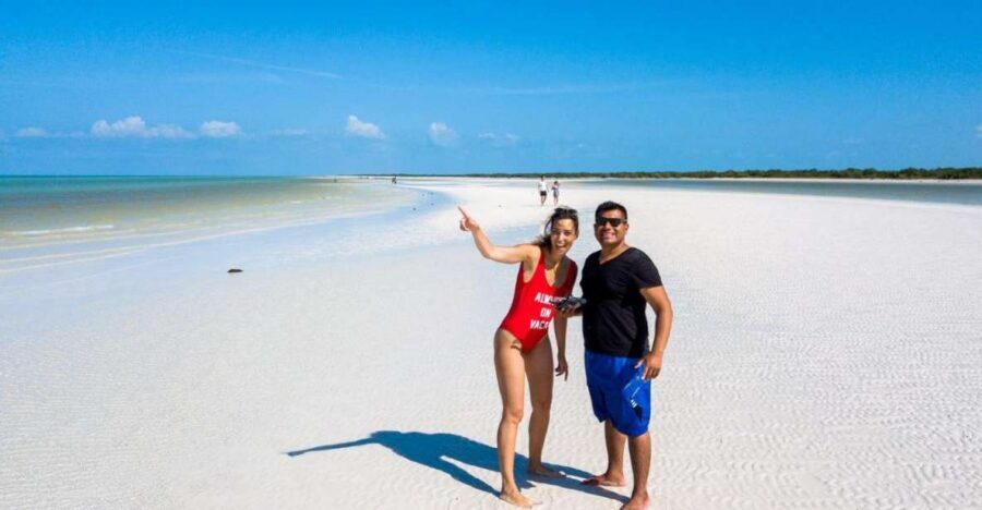 From Riviera Maya: Holbox Full-Day Tour with Lunch - Yalahau (Hoyo Negro Yalahau) cenote swim: what to expect from the nature setting