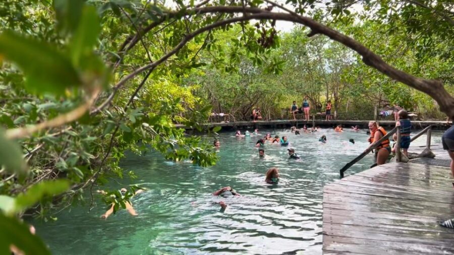 From Riviera Maya: Holbox Full-Day Tour with Lunch - Punta Mosquito: sand, lunch, and how to use the free time