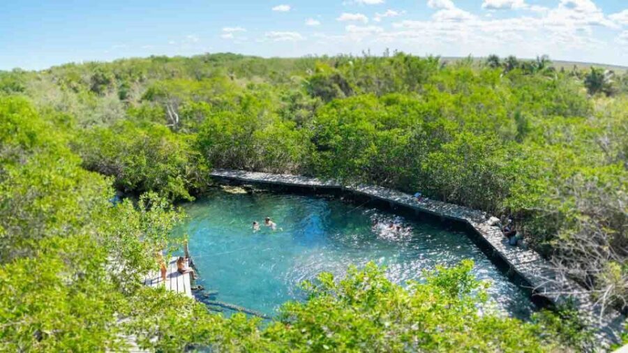 From Riviera Maya: Holbox Full-Day Tour with Lunch - Isla Holbox free time: 2 hours to fall in love (or at least pick a route)