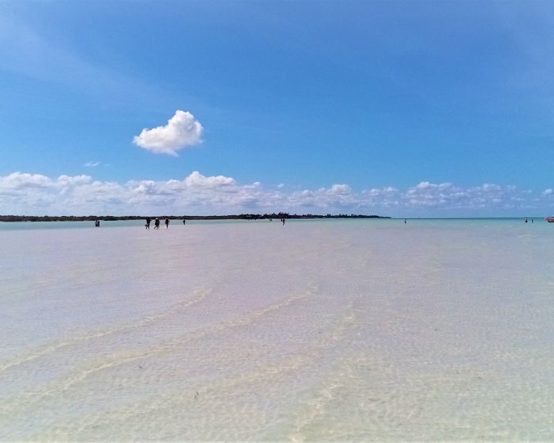 From Riviera Maya: Holbox Full-Day Tour with Lunch - Boat ride and snacks: what the tour provides, and what you should add
