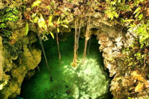 From Riviera Maya: Snorkeling & Private Cenote Half-Day Tour - The Cenote Experience: Flashlights, Limestone, and a Quiet Kind of Awe