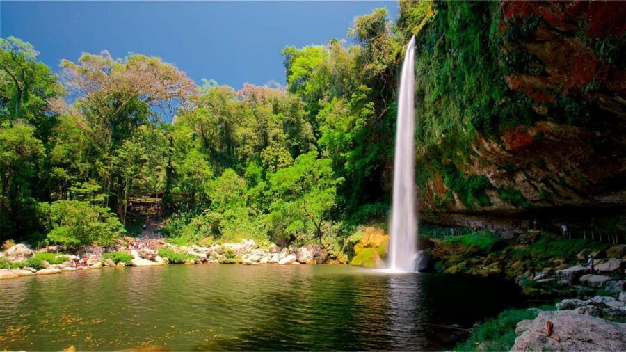 From San Cristóbal: Agua Azul and Palenque Day Trip - Who this tour is best for (and who should choose something else)