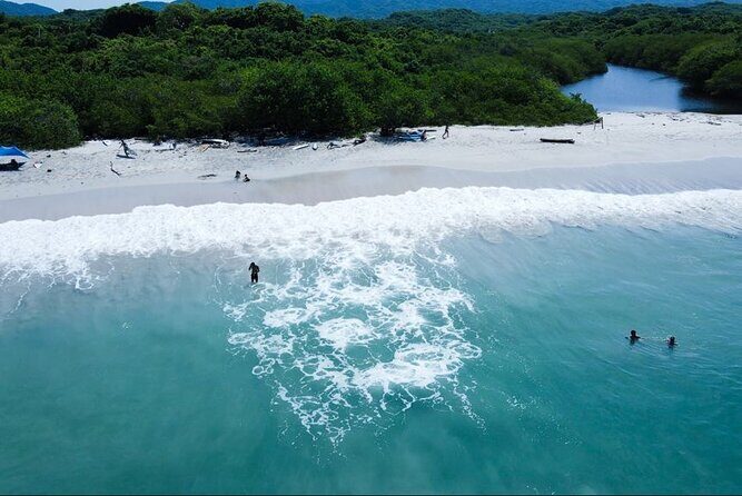 From Sayulita: Surf Trip to La Lancha Beach -all ages & levels - The Drive and Jungle Walk: A Nice Reset, Not Just Transit