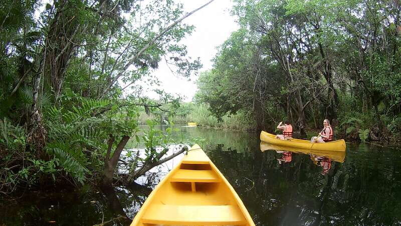 From Tulum: Four-Cenote Adventure - The Mayan Village Lunch: Chicken Pibil, Poc Chuc, and Real Tortillas