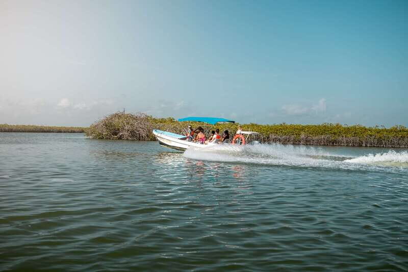 From Tulum: Sian Kaan Boat Trip Adventure with Lunch - Snorkeling over the 2nd largest coral reef system (and how to plan for weather)