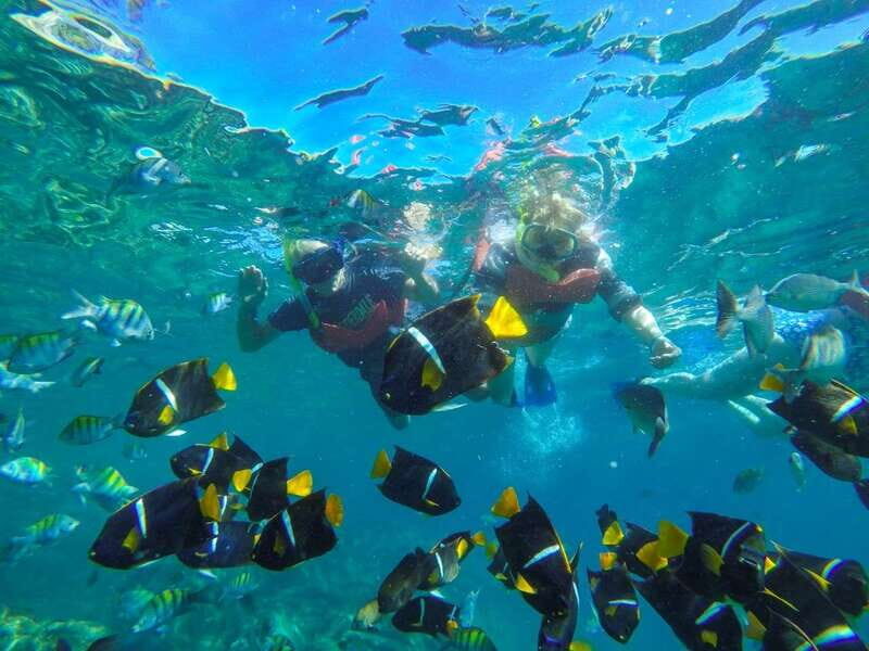 From Vallarta: Marietas Islands & Beach BBQ at Majahuitas - Snorkeling time: included gear, but don’t expect unlimited visibility