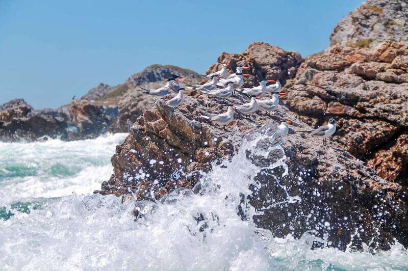 From Vallarta: Marietas Islands & Beach BBQ at Majahuitas - The long water-to-water day: time on the move is part of the deal
