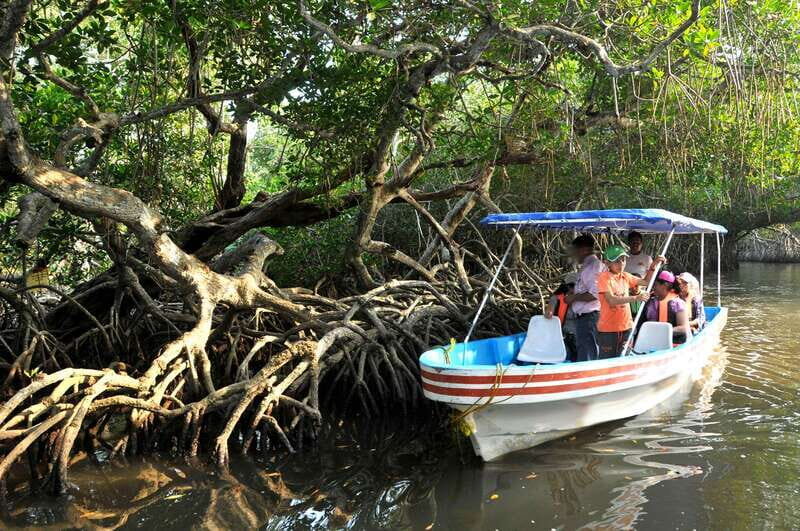 From Veracruz: Nature & Seafood Boat Tour to Madinga - Key things to know before you go
