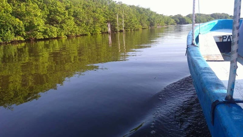 From Veracruz: Nature & Seafood Boat Tour to Madinga - The boat trip through the lagoon: what you’re really paying for