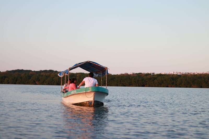 From Veracruz: Nature & Seafood Boat Tour to Madinga - The sunset among mangroves: why the ending feels different