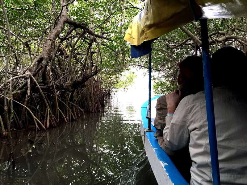 From Veracruz: Nature & Seafood Boat Tour to Madinga - Price and value: $30 for transport and a boat ride