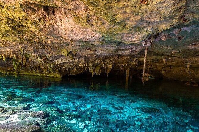 Full Day Adventure: Horses , ATV, Ziplines & Cenote w/Lunch - Lunch, Bottled Water, and the Included Gear That Saves Money