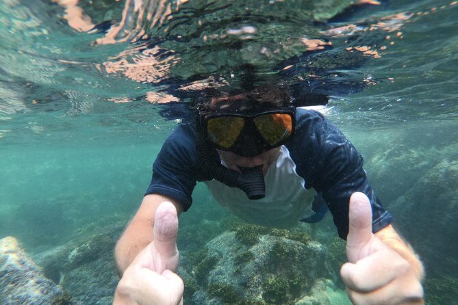 Full-Day Experience in Banderas Bay - Yelapa Waterfalls: top views, a natural pool, and optional show time